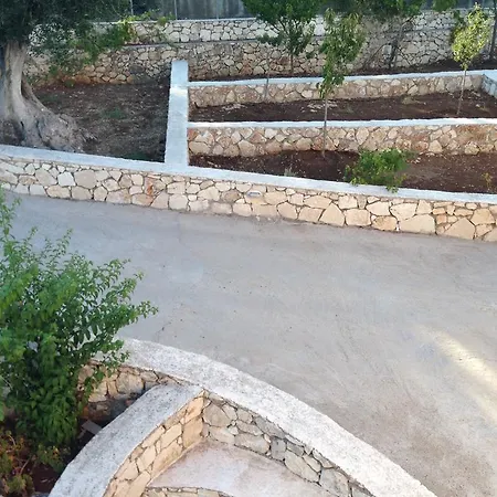 Tselentata フィスカルドン